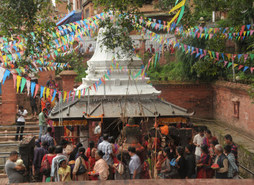 category photo