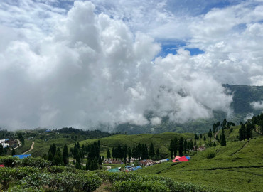 category photo