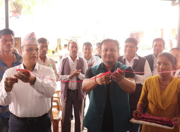 category photo