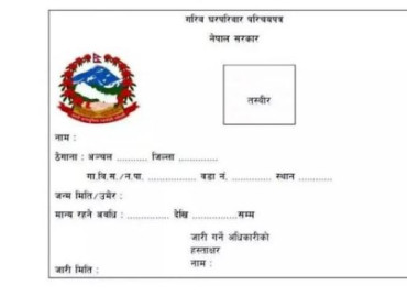 category photo