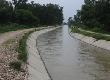 category photo