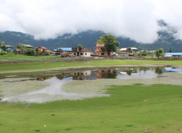category photo