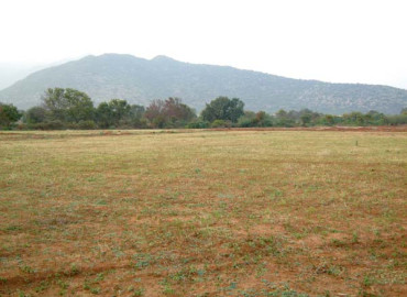 category photo