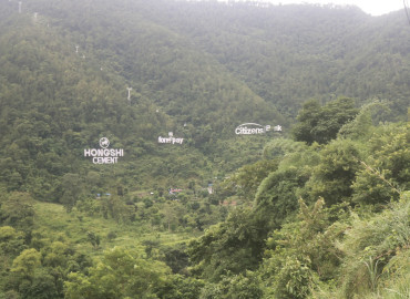 category photo