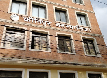 category photo
