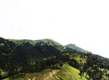 category photo