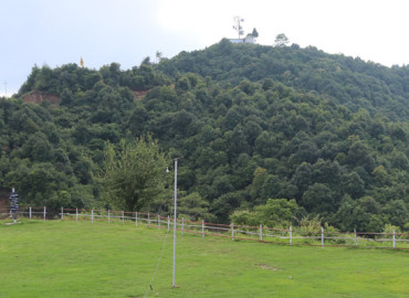 category photo