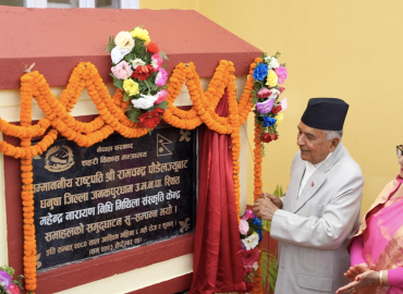 category photo