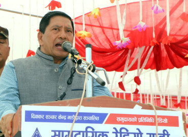 category photo