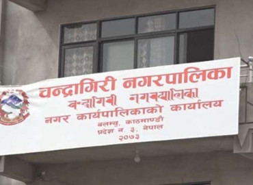 category photo