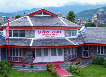 category photo