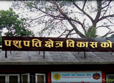 category photo