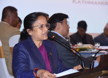 category photo
