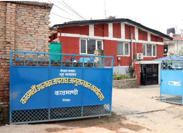category photo