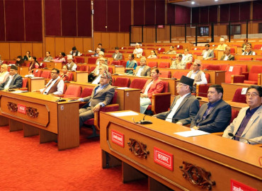 category photo