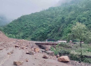 category photo