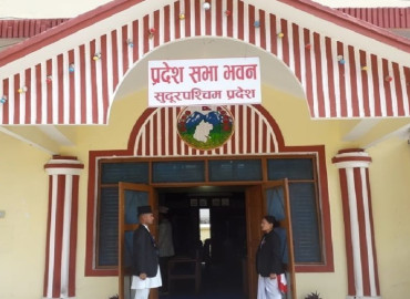 category photo