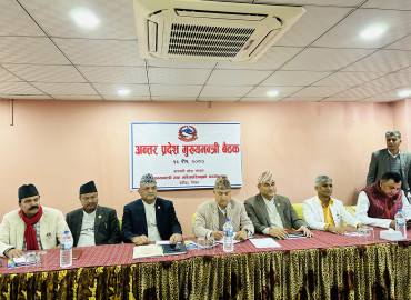 category photo