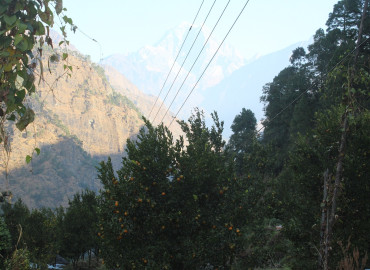 category photo