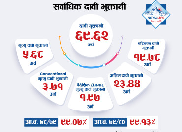 category photo