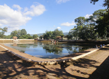 category photo