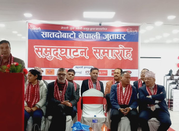 category photo