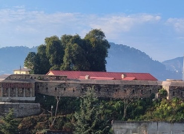category photo