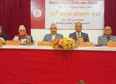 category photo