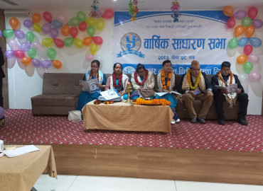 category photo