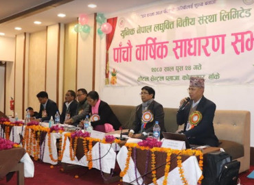 category photo