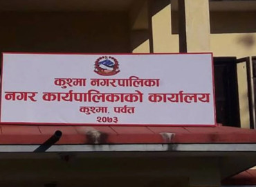 category photo