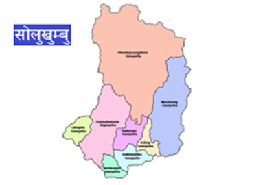 category photo