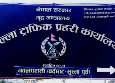 category photo