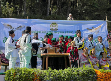 category photo