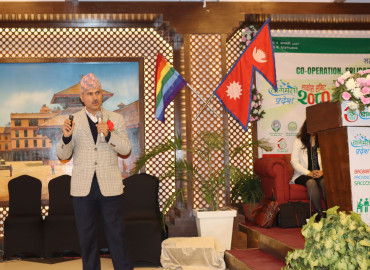 category photo