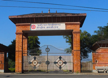 category photo