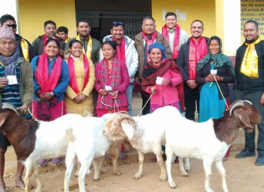 category photo