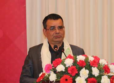category photo