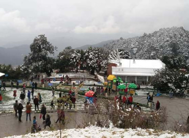 category photo