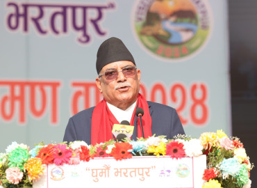 category photo