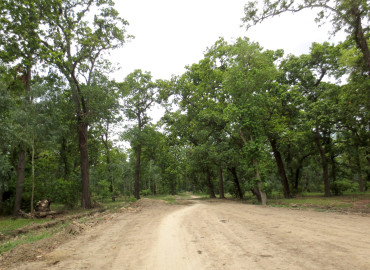 category photo