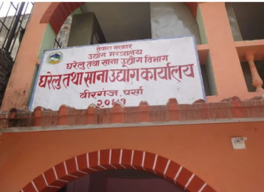 category photo