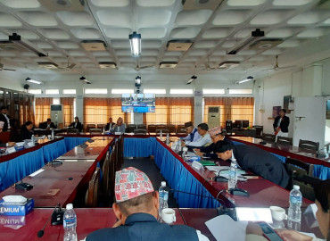 category photo