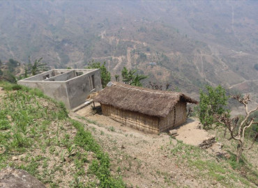 category photo