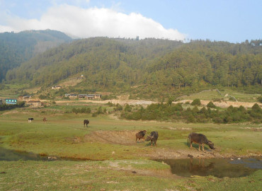 category photo