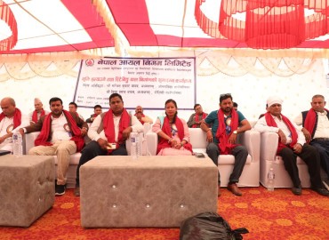 category photo