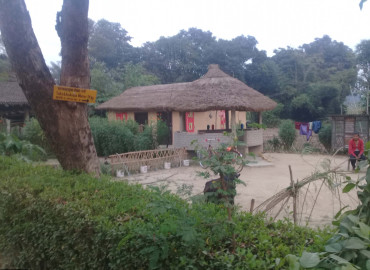category photo