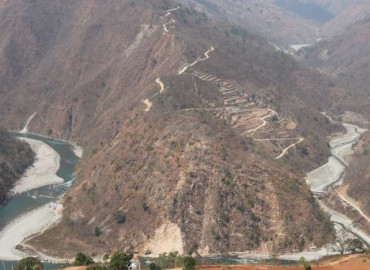 category photo