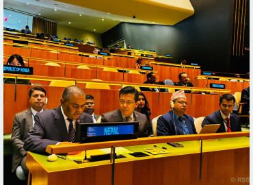 category photo