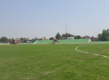 category photo